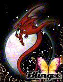 yin yan dragon