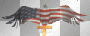 Patriotic Eagle