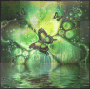 Green butterfly