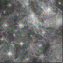blk glitter