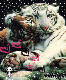 AnGeLs 4 ..::Ciffe::.. E lE aMiKe DeI rEgAlInI