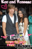 zanessa