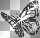 butterfly1