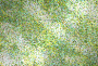 green silver green silver