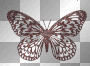 red and black butterfly