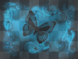 MOTH