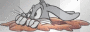 bugs bunny