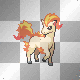 ponyta