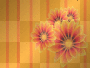 orange flowers