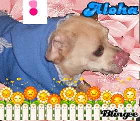 lilly