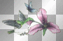 bird and flower