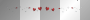 heart border