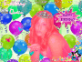 bday