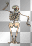 Dancing Skeleton