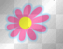 flower power