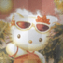 kitty chan kitty chan