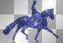 Dressage Horse
