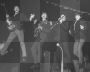 Mexican Jumping Beatles