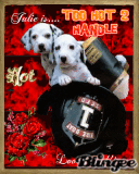 fire puppies