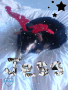 x-mas dog