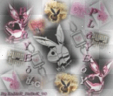 playboy
