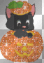 halloween kitty
