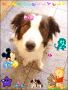 doggy