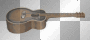 acoustic guitar