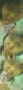 lup bebe