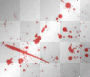 blood stains