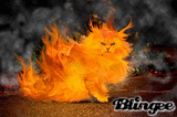 Blingee