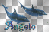 Angelo name