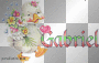 Gabriel name