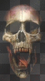 vampire skull
