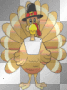 thanksgiving turkey