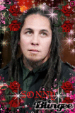 P.O.D.'S SONNY WITH ROSES