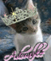 o cute