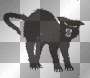 mad blk cat