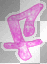 letter f