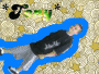 Animated Picture