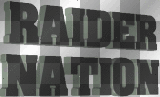 RAIDERS