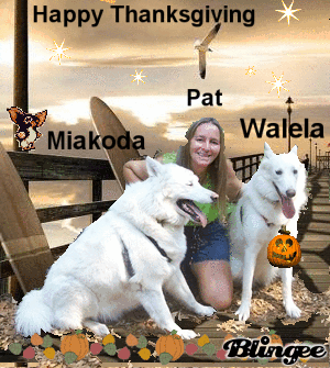 Happy Thanksgiving