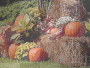 thanksgiving background