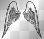 angel wings