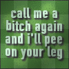 bitch