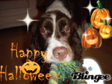 Happy Halloween from RU