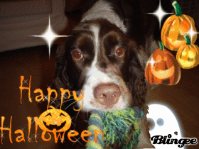 Happy Halloween from RU