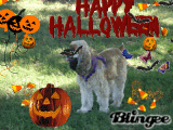 Happy Halloween