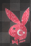 pLaYboY