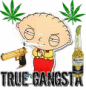 mi nigg
